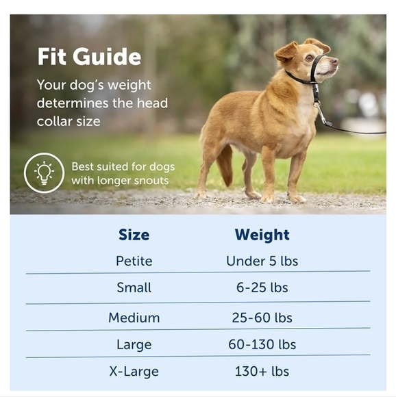 Pet Safe Gentle Leader Headcollar black size petite under 5lbs. - Picture 3 of 8